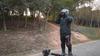 iScooter IX4 City Commuting Folding Electric Scooter 800W Motor 48V15Ah Battery Multi Terrain 10 Inch Tires Off Road EScooter