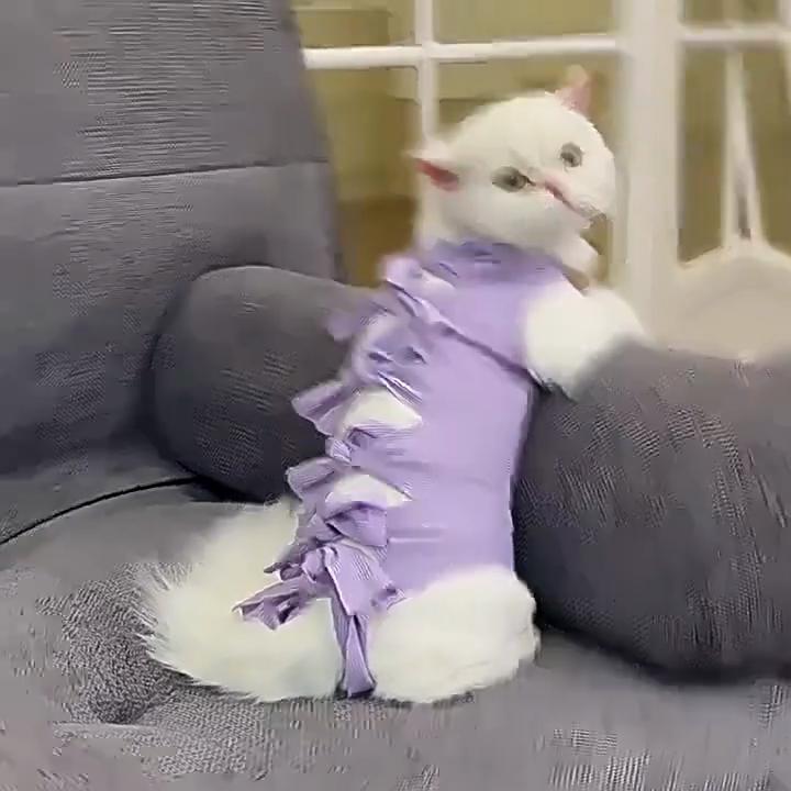 Katzen Genesungsanzug Atmungsaktiv Anti-Leck Chirurgieanzug Nach der Operation Kastrations-Outfit für Katzen Kätzchen