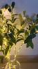Lighted Artificial Olive Branches For Vases, Greenery Decorative Stems For Table Centerpieces Wedding Flower Arrangements Indoor Home Decoration