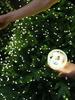 10M/50M/200M LED-Lichterkette mit grünem Draht, Weihnachts-Lichterkette, Girlande mit Fernbedienung, für den Außenbereich, Weihnachtsbaum-Dekoration, Lichter für Neujahr, Party, Zuhause, Terrasse