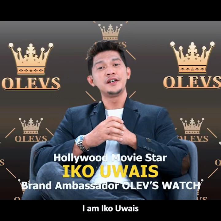 OLEVS Luxury Quartz Watch For Men Roman Scale Moon Phase Chronograph Man Watches Waterproof Luminous Calendar Wrist Watch