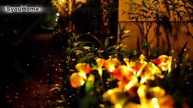 יחידה אחת סולארית LED סיבים אופטיים 6 ראשים אור פרפר קישוט חיצוני אור דשא אור אווירה לגינה