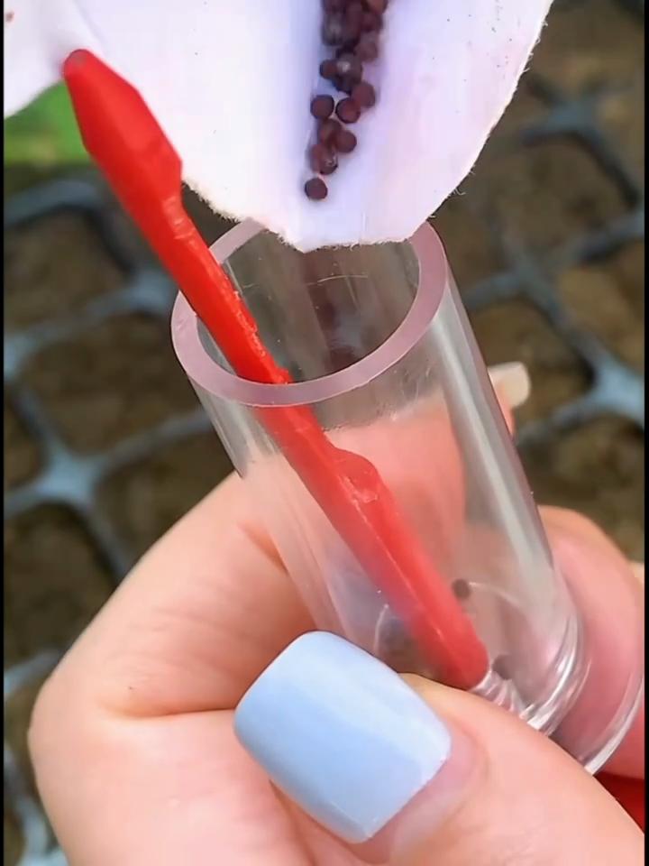 Spandiconcime per semina Ampia applicazione Dispenser impermeabile robusto e conveniente in plastica antiusura per regali