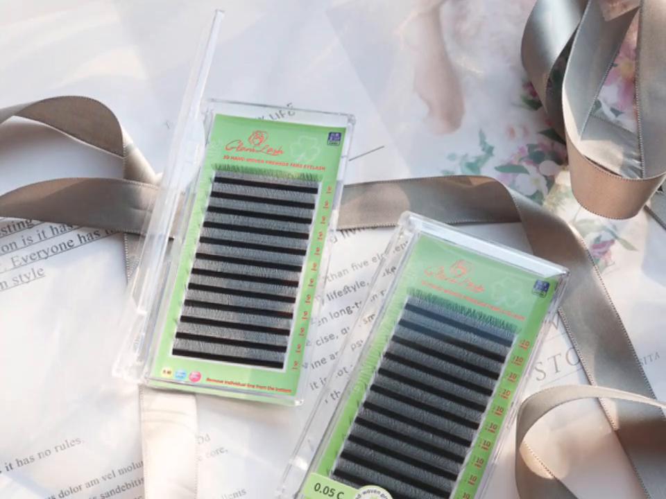 GLAMLASH 3D W-Shaped Eyelashes Extensions C/D Curl High Quality Idividual Lash
