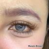 FreshLady 1 Par 2 piezas Lentes de Contacto Anuales de Color de 14.5 mm, 40% de Agua Lentes Suaves Cómodas para Uso Diario y Maquillaje de Fiesta, Marrón/Azul/Gris