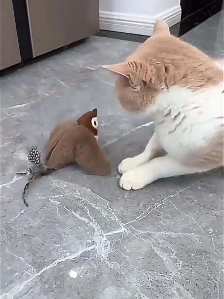 Oiseau en Peluche Simulé Jouet Interactif pour Animal de Compagnie Avec Ailes Battantes et Sons de Gazouillis Pour le Jeu et l'Interaction