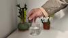 Plant Stand Buddy – Creative Adorable Plastic Plant Support Clip for Hydroponics, Cup Edge Holder & Decorative Plant Stand