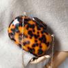 Nový módní doplněk Ženy Roztomilá taška Vintage Leopard Jantarová Kulatá Party Taška Večerní Kabelka Kabelka Žena Svatba Trendy Peněženka Box Clutch
