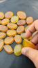 Natural Healing Transparent Yellow Onyx Cabochon Gemstone Lot, Gemstone Lot, Yellow Onyx Gemstone, Mix Shape With All Size.