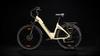 TTGO Bicicletă Electrică C3 SE pentru Navetă Urbană pentru Adulți Anvelope de 28 Inch Motor de 250W Baterie 36V20Ah E-Bike Multi-Terren Cu Frânare pentru Toate Terenurile