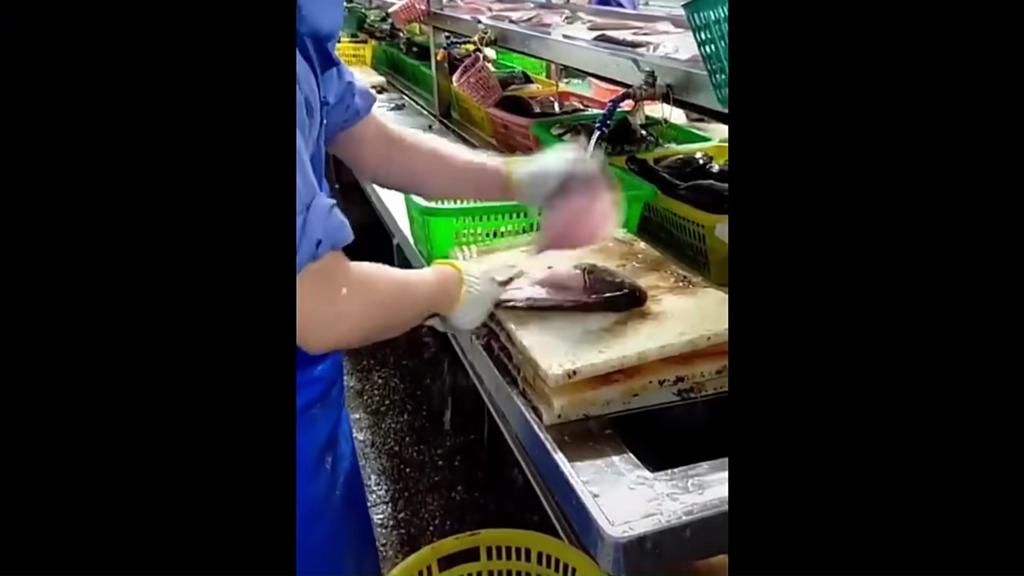 Fish Boning Knife Professional Tool Cooking Kitchen Knife Seafood Market Aquatic Slaughter Fishing Butcher Knife Meat Cleaver