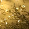 Battery Box Copper Wire Led String Light For Christmas Decor And Festive Events