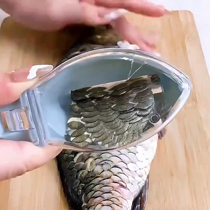 Ralladores de escamas de pescado, herramienta de limpieza de pescado, dispositivo de escamas de raspado con cubierta, herramienta de cocina para el hogar, aparejos de Pesca