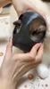 Katzen-Fledermausmaske, coole Katzen-Avenger-Maske, süße Fledermausmaske für Auto, Haustierspielzeug, Halbgesichts-Katzenmasken, Superhelden-Spielzeug, Partyzubehör