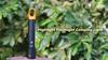 9 Modes LED Flashlight Powerful Zoom Camping Lantren Aluminum Alloy Torch  Outdoor Light with Hooks USB Rechargeable