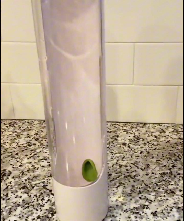 Kühlschrank-Kräuter-Crisper-Saver-Pod-Behälter, Gemüse-Einmachflasche, hält Kräuter/Koriander/Minze/Petersilie/Spargel frisch und grün
